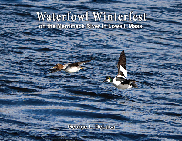 Waterfowl Winterfest book cover
